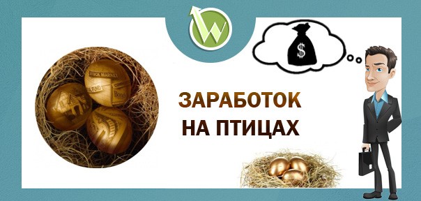 Заработок на птицах