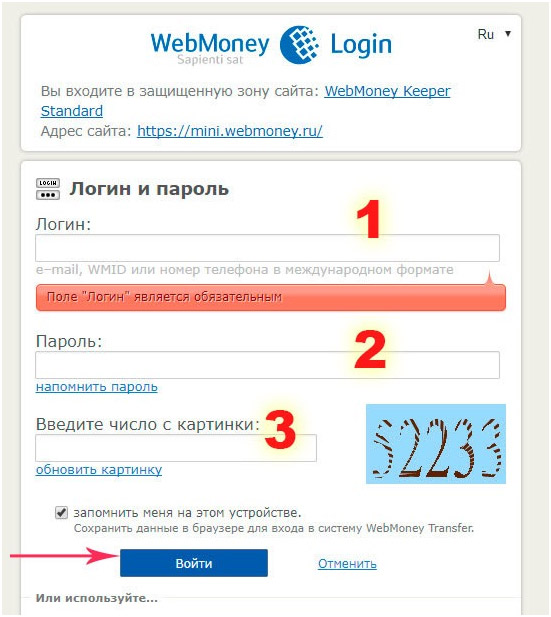 vebmani-zapolnenie-info